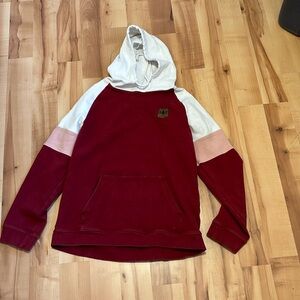 Alaska chicks women’s hoodie